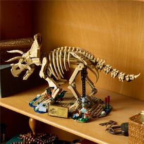 Stavebnica LEGO® Jurassic World  77985 Dinosaurie fosílie: Triceratops 

 obrázok produktu 6 z 9