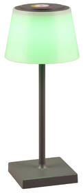Stolná lampa Reality Sanchez 

 obrázok produktu 3 z 5