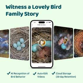 Vtáčia búdka Birdfy Ebony s kamerou (AI predplatné) 

 obrázok produktu 7 z 8