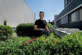 Nožnice na živý plot Metabo HS 18 LTX BL 65 (bez baterie) 601723850 

 obrázok produktu 1 z 13