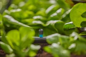 Zavlažovač Gardena MicroDrip System 13318-20 (5 ks) 

 obrázok produktu 4 z 5