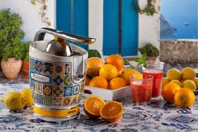 Lis na citrusy Ariete 413/PO 

 obrázok produktu 9 z 9