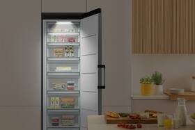 Mraznička Gorenje FNC618C61X6WFE nerez

 obrázok produktu 17 z 21