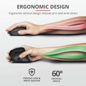 Myš Trust Voxx Rechargeable Ergonomic čierna

 obrázok produktu 10 z 13