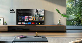 Televízor Panasonic TB-65W61A 

 obrázok produktu 10 z 10