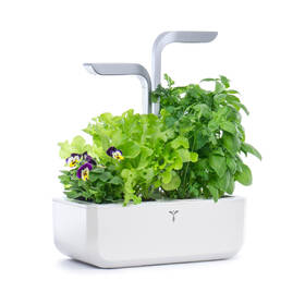 Inteligentný kvetináč Véritable SMART biely

 obrázok produktu 3 z 16