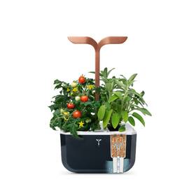 Inteligentný kvetináč Véritable Exky SMART čierny/medený

 obrázok produktu 3 z 7