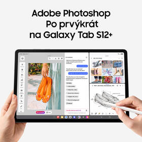 Tablet Samsung Galaxy Tab S12+ 5G 12 GB / 256 GB + dotykové pero strieborný

 obrázok produktu 12 z 24