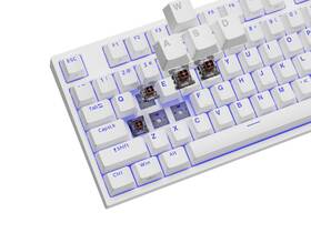 Klávesnica Genesis THOR 404 TKL, RGB, US layout, Kailh Box Brown V2 biela

 obrázok produktu 11 z 12