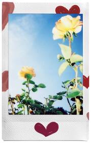 Instantný film Fujifilm Instax mini HEARTS 

 obrázok produktu 3 z 7