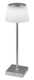 Stolná lampa Rabalux Taena 76013 strieborná/biela

 obrázok produktu 2 z 7
