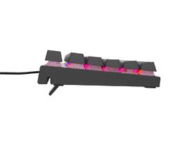 Klávesnica Genesis THOR 303 TKL RGB, Outemu Peach, CZ-SK layout čierna

 obrázok produktu 4 z 6