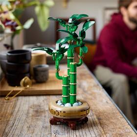 Stavebnica LEGO® Botanicals 10344 Bambus štěstí 

 obrázok produktu 6 z 9
