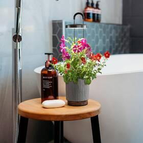 Inteligentný kvetináč Click and Grow HydroVase sivý

 obrázok produktu 3 z 4
