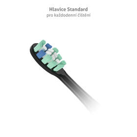 Náhradné hlavice TrueLife SonicBrush Clean-series heads Standard black 8 pack čierna

 obrázok produktu 1 z 3