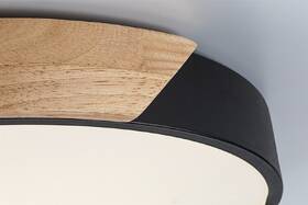 LED stropné svietidlo Rabalux Maple2 71416 čierne

 obrázok produktu 5 z 5