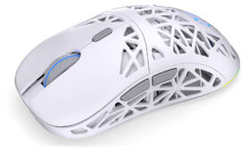 Myš ENDORFY LIV Plus Wireless biela

 obrázok produktu 6 z 18