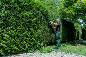 Nožnice na živý plot Metabo HS 18 LTX BL 65 (bez baterie) 601723850 

 obrázok produktu 8 z 13