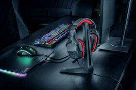 Stojanček Trust GXT 260 Cendor Headset Stand čierne

 obrázok produktu 4 z 5