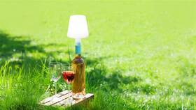 Vonkajšia lampička Fischer & Honsel na fľašu, Fiocco, 1x LED, 1,5 W biela

 obrázok produktu 7 z 8