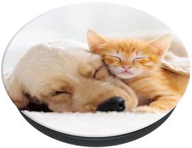 Držiak PopSockets PGB CAT & DOG 

 obrázok produktu 1 z 1