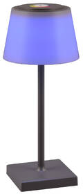 Stolná lampa Reality Sanchez 

 obrázok produktu 4 z 5