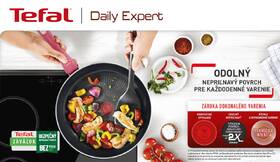 Panvica Tefal C2890202, 20 cm 

 obrázok produktu 9 z 10