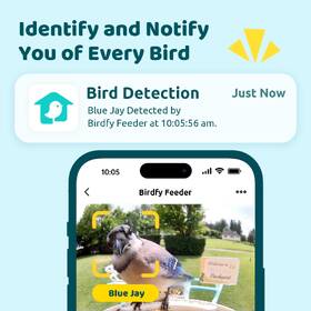 Vtáčie krmítko Birdfy s kamerou a solárnym panelom (AI predplatné) 

 obrázok produktu 2 z 9
