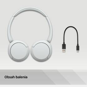Slúchadlá Sony WH-CH520 biela

 obrázok produktu 13 z 13