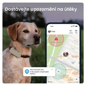 GPS lokátor Tractive DOG 6 hnedý

 obrázok produktu 2 z 10