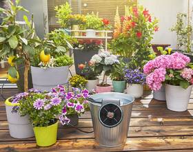 Zavlažovací systém Gardena AquaBloom 

 obrázok produktu 8 z 17