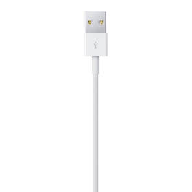 Kábel Apple Lightning/USB, 1m (2024) biely

 obrázok produktu 3 z 3