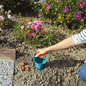 Sadzač Gardena 3412-20 zelený/oranžový

 obrázok produktu 3 z 4