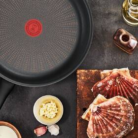 Panvica palacinková Tefal G3053802 Protech, 25 cm čierna

 obrázok produktu 3 z 7