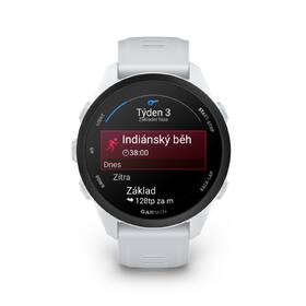 Inteligentné hodinky Garmin Forerunner 70 sivé

 obrázok produktu 5 z 12