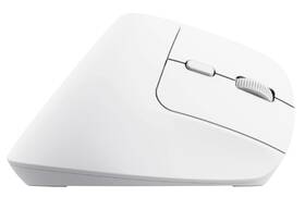 Myš Trust Bayo+ Ergonomic Wireless biela

 obrázok produktu 1 z 8