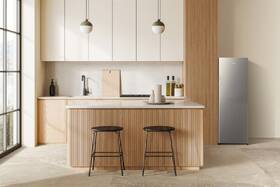 Mraznička Gorenje FN4172CS strieborná

 obrázok produktu 7 z 7