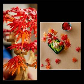 Stavebnica LEGO® Botanicals 10348 Bonsaj – Japonský červený javor 

 obrázok produktu 4 z 9
