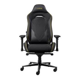 Herná stolička Trust GXT 721 RUYA Pro Premium čierna

 obrázok produktu 5 z 7