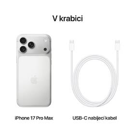 Mobilný telefón Apple 256GB strieborny 

 obrázok produktu 8 z 16