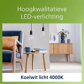LED žiarovka Philips 60W, filament, G95, E27, neutrální bílá 

 obrázok produktu 3 z 3