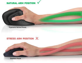 Myš Connect IT vertikálna, ergonomická čierna

 obrázok produktu 8 z 11