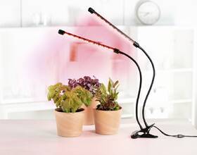 Stolná lampa XAVAX STICK 

 obrázok produktu 4 z 5
