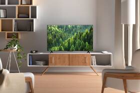 Televízor TCL 43S5L 

 obrázok produktu 15 z 15
