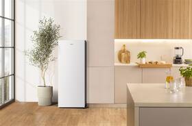 Mraznička Gorenje F414D2W5 biela

 obrázok produktu 5 z 5