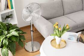 Ventilátor stojanový Sencor SFN 4040SL strieborný

 obrázok produktu 11 z 13
