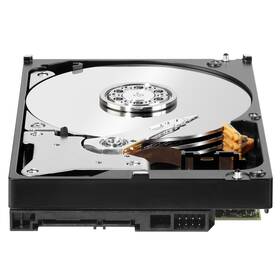 Pevný disk 3,5" Western Digital Plus 10TB 

 obrázok produktu 2 z 3
