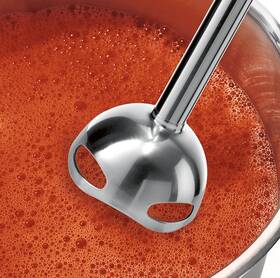 Ponorný mixér Bosch MS62B6190 čierny

 obrázok produktu 9 z 21
