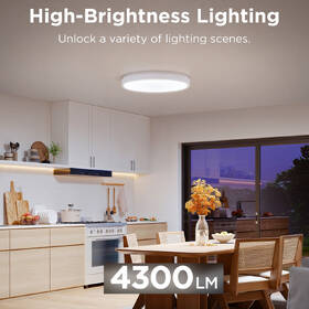 LED stropné svietidlo Govee RGBICWW Smart duálny, 4300lm, 38cm, Matter biele

 obrázok produktu 3 z 7