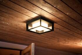Nástenné svietidlo Philips Econic White and Color Ambiance čierne

 obrázok produktu 5 z 7